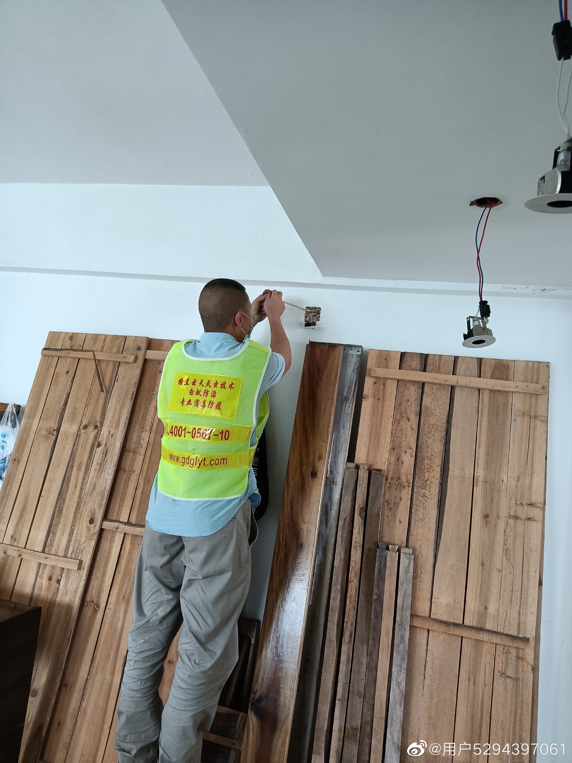 中山消殺除四害 專業快速滅殺蟑螂跳蚤臭蟲