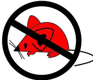 宜春滅老鼠上門抓滅老鼠電話-無害防治專業團隊24小時上門