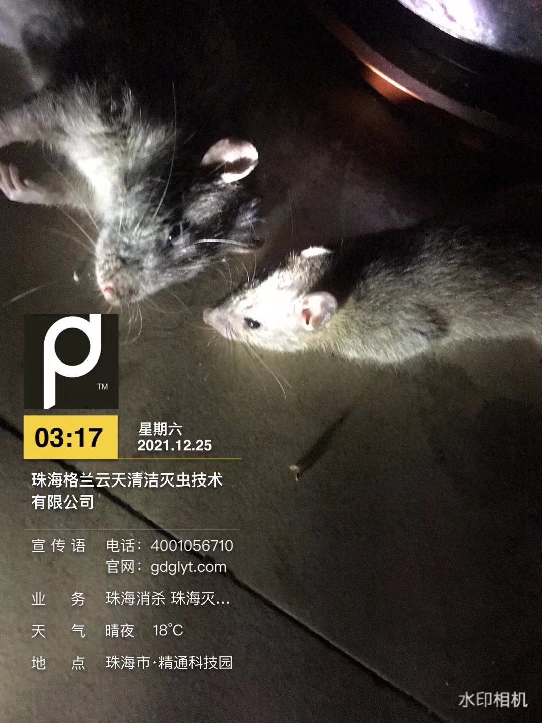 微信圖片_20211225044230.jpg 微信圖片_20211225044230.jpg