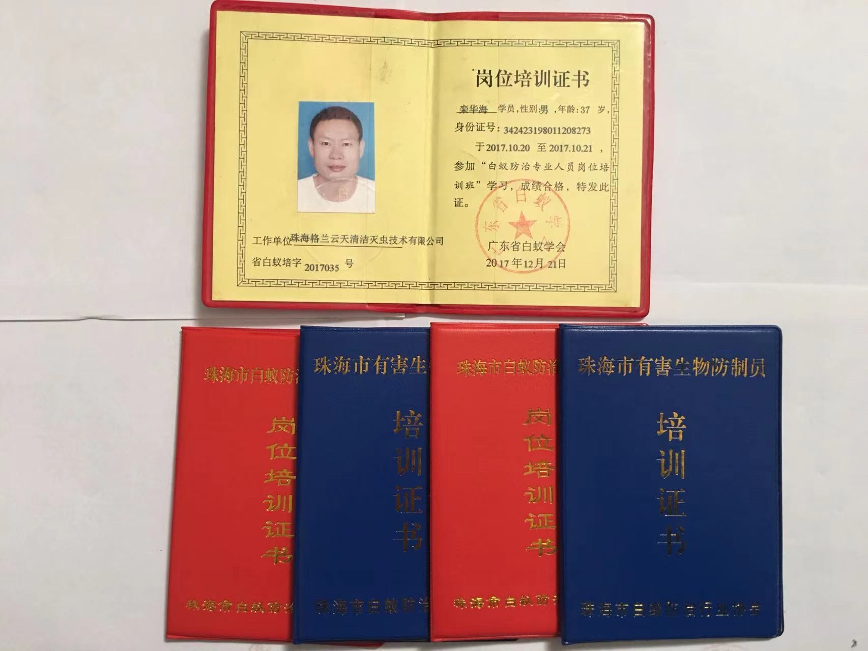 中山殺蟲公司_裝修前白蟻預防 中山別墅白