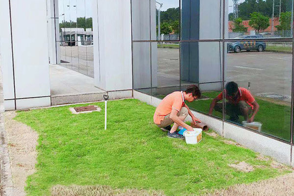 火炬開(kāi)發(fā)區(qū)提供蟲害治理公司