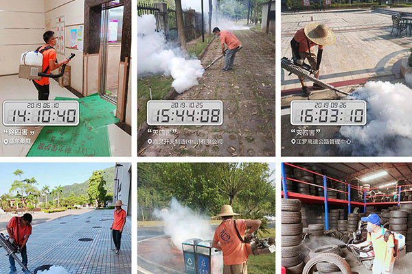 西區專業除四害公司