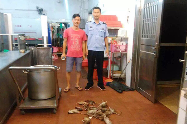 南頭專業滅蟑螂價格