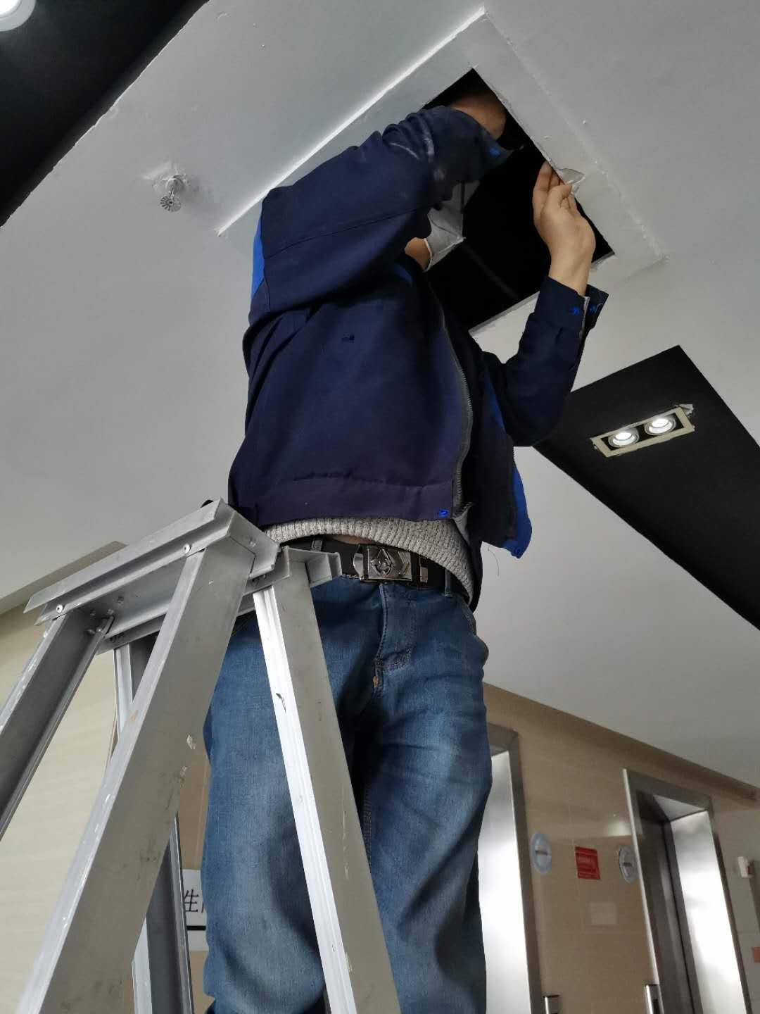 中山消殺滅鼠公司 11年行業(yè)經(jīng)驗 中山滅