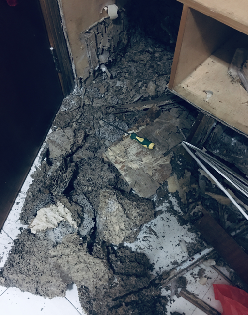 中山白蟻防治公司 中山滅殺白蟻經驗-珠海