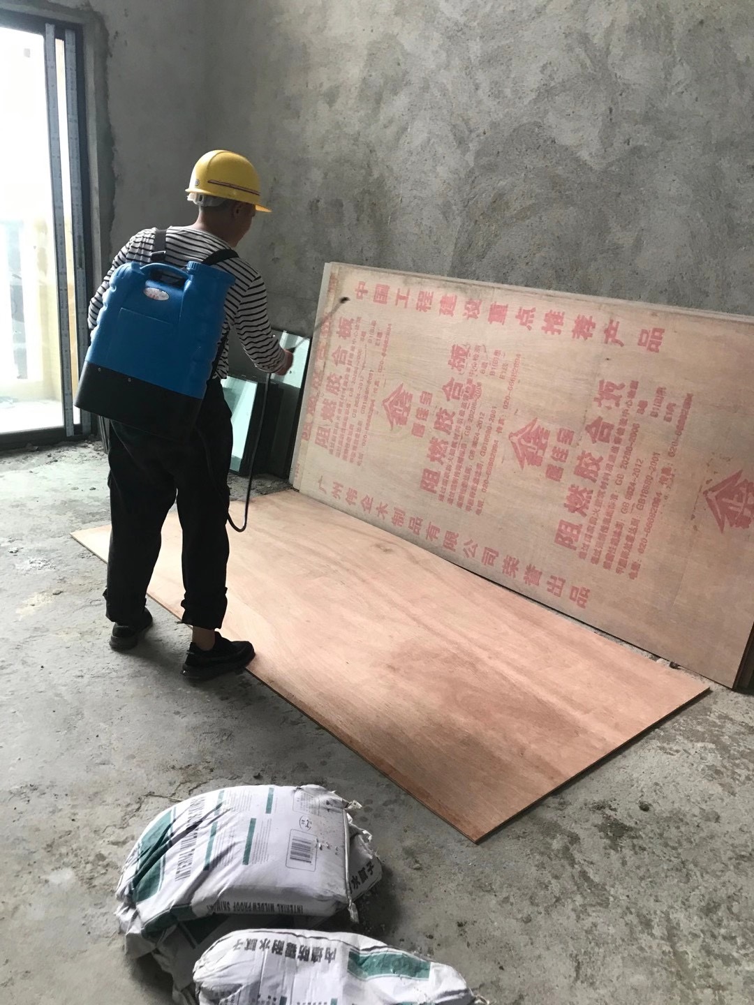 中山白蟻的廣泛性與白蟻的滅治預防方法