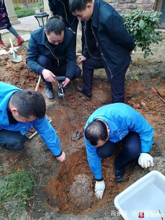 中山小區百萬白蟻兵團被一鍋端 蟻王蟻后被