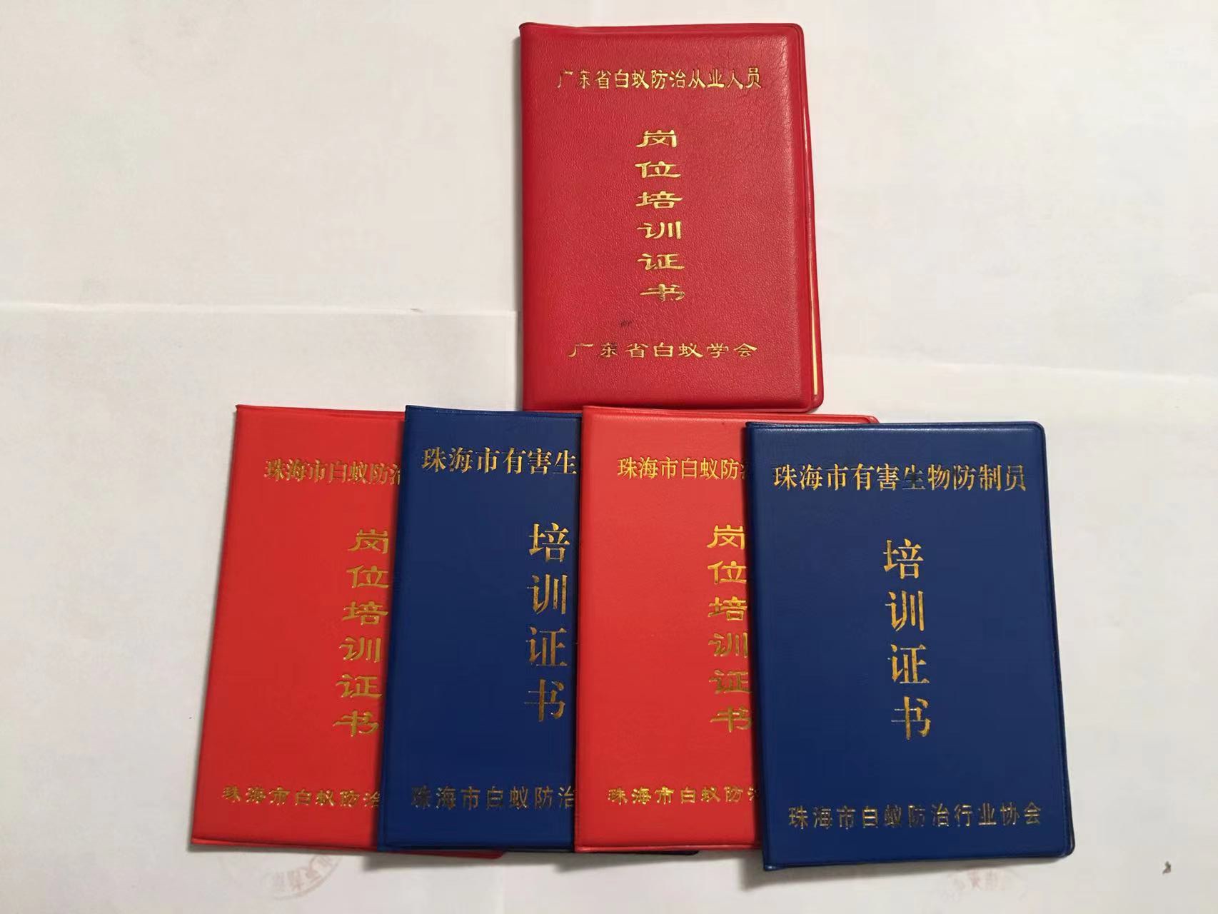 中山殺蟲(chóng)滅鼠 中山白蟻防治 中山白蟻防治