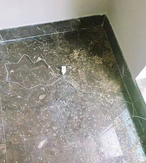 中山坦洲鎮上萬白蟻藏天花板 網友：密集恐