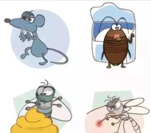 中山消殺滅四害是什么?有哪些危害