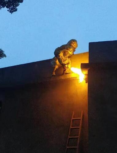 中山市民遇到馬蜂窩切莫胡亂捅,消防員教您