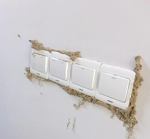 中山家里發現白蟻怎么處理