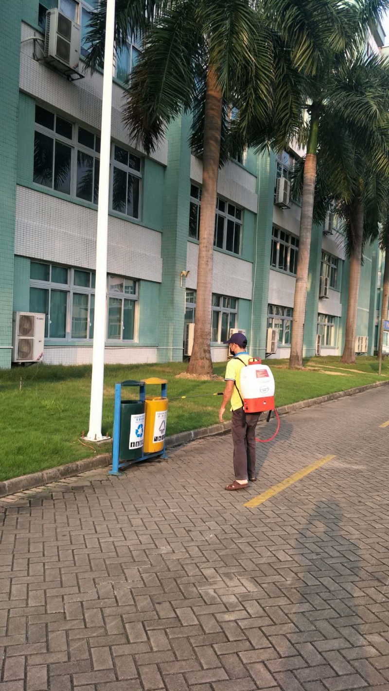 中山家里發(fā)現(xiàn)很多白蟻怎么辦？-珠海格蘭云