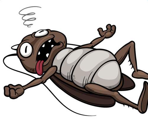 中山滅蟑螂的注意事項和如何防止蟑螂