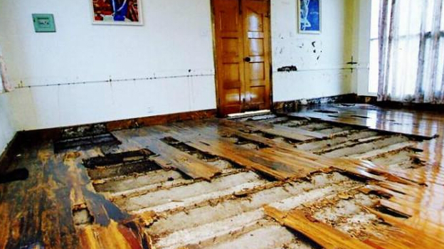 中山白蟻防治所電話，中山白蟻防治中心電話