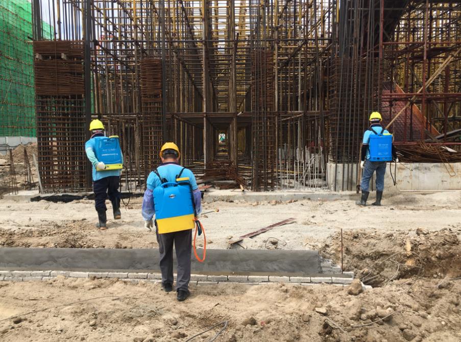 中山神灣專(zhuān)業(yè)白蟻防治價(jià)格 中山神灣白蟻防