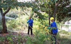 中山白蟻防治公司，當(dāng)天上門服務(wù)，1小時(shí)內(nèi)