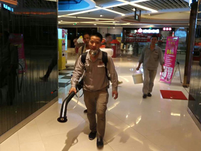 坦洲專業白蟻防治公司