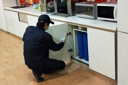 中山怎么樣才能消滅老鼠？中山滅鼠公司來幫