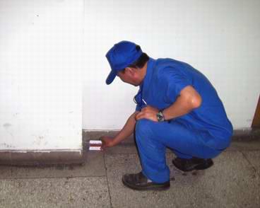 中山超市出現老鼠怎么辦？中山專業滅鼠公司