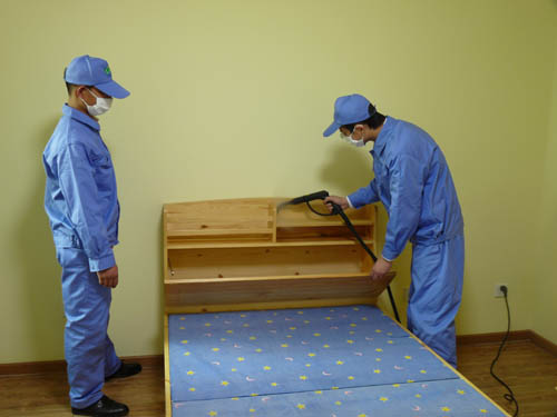 中山家里有跳蚤要怎么處理？中山專業殺蟲公