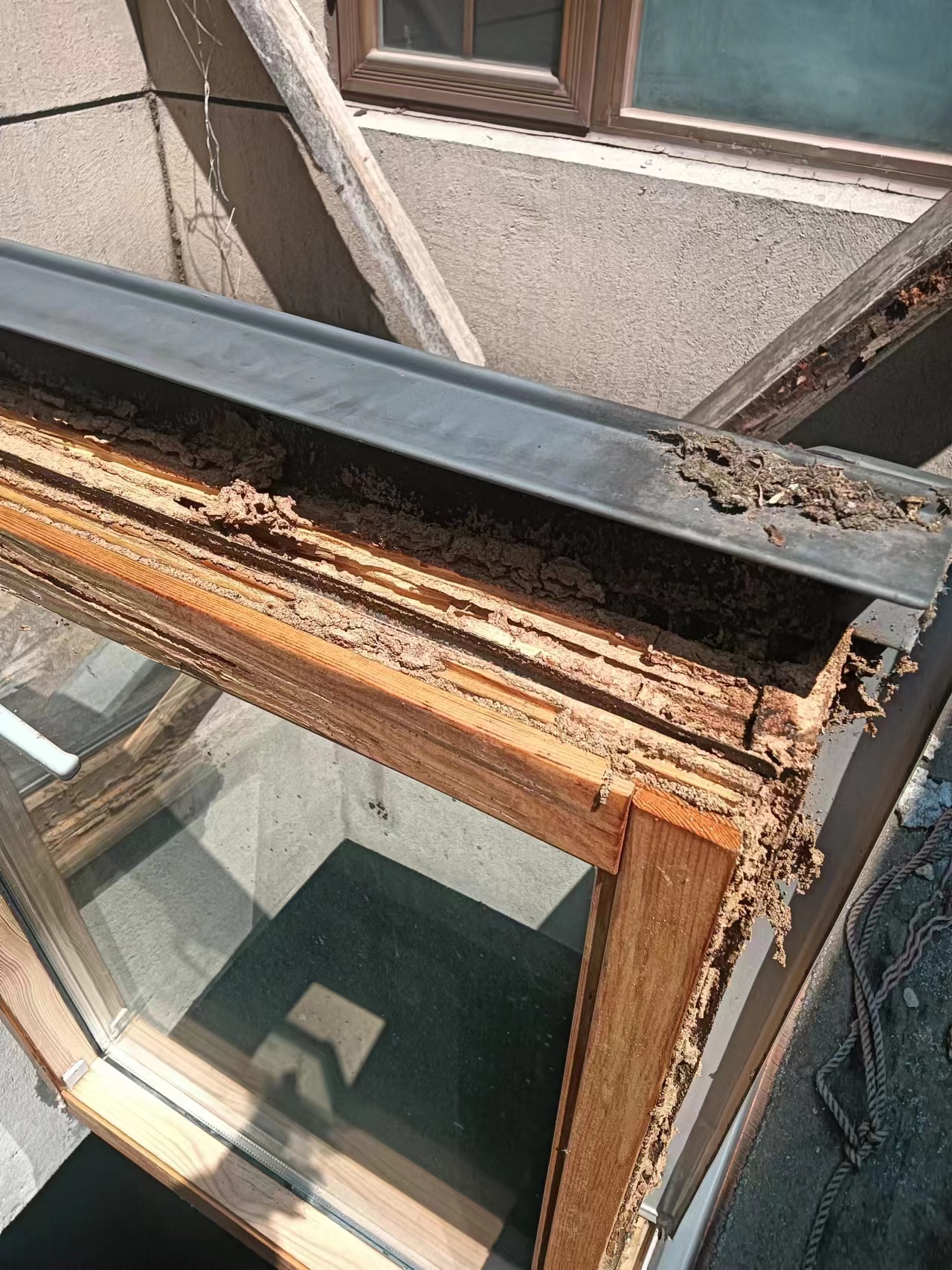 白蟻危害.jpg 白蟻危害.jpg