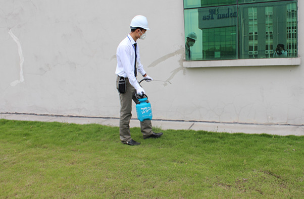 專業除蟲公司教你防治多腳馬陸 專業除蟲公司教你防治多腳馬陸
