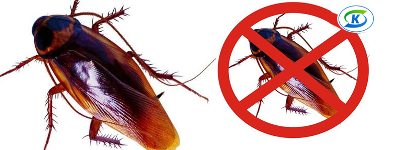 商超、連鎖業蟲害防治(圖10) 商超、連鎖業蟲害防治(圖10)